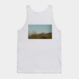 91416 high winds Tank Top